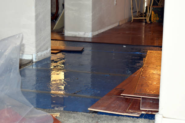 Professional Flood Damage Restoration technician working in Mount Calm, TX